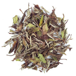 Pai Mu Tan (白牡丹) Aged Top Grade