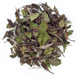 Pai Mu Tan (白牡丹)