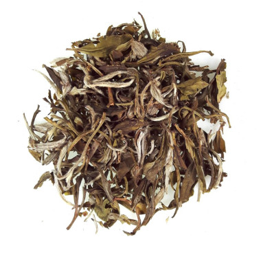 Xue Ya (雪芽)